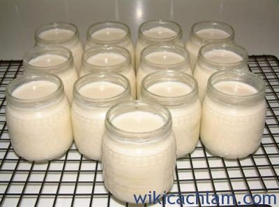 Cách làm yaourt nha đam mát dịu mùa hè 2