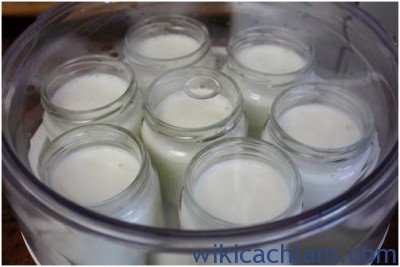 Cách làm yaourt ngon giải nhiệt ngày nóng 3
