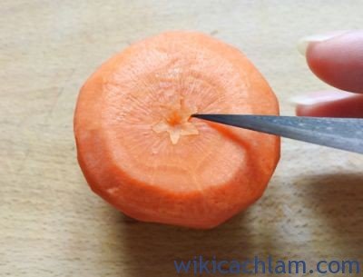 Cách tỉa hoa thược dược từ cà rốt-3