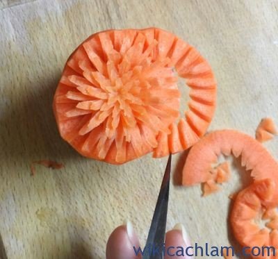 Cách tỉa hoa thược dược từ cà rốt-7