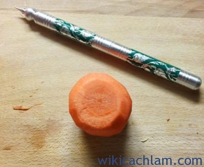 Cách tỉa hoa thược dược từ cà rốt-1