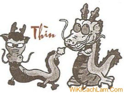 xem-tu-vi-tron-doi-cho-tuoi-giap-thin-sinh-nam-1964-nam-mang 1