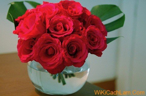 Cách cắm hoa hồng để bàn ngày Tết thêm sắc màu-8