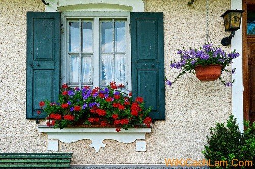 Top 50 mẫu vẽ trang trí cửa sổ đẹp nhất