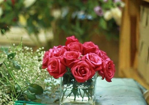 4 cách cắm hoa hồng đẹp tươi lâu nhất-10