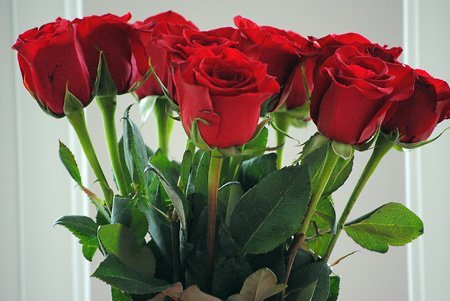 4 cách cắm hoa hồng đẹp tươi lâu nhất-1