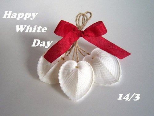 Ngày valentine trắng là ngày nào? Nguồn gốc và ý nghĩa-2