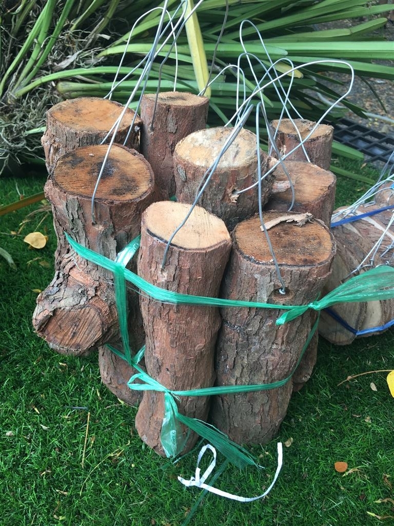 Cách trồng và chăm sóc hoa lan trên gỗ-2