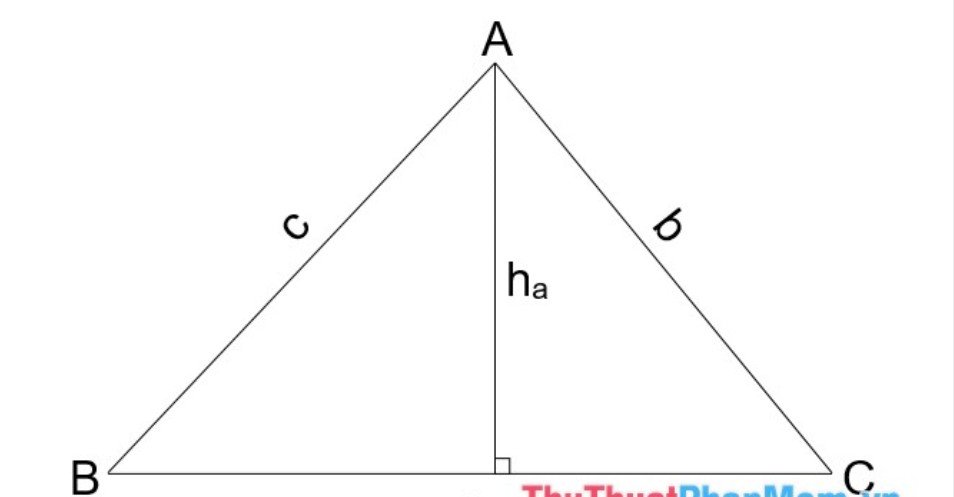 Công thức tính diện tích tam giác, hình tròn, hình vuông, hình chữ nhật, hình thang, hình bình hành – Tin Đẹp