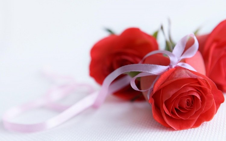 Những hình ảnh hoa hồng đẹp ngọt ngào, lãng mạn-22