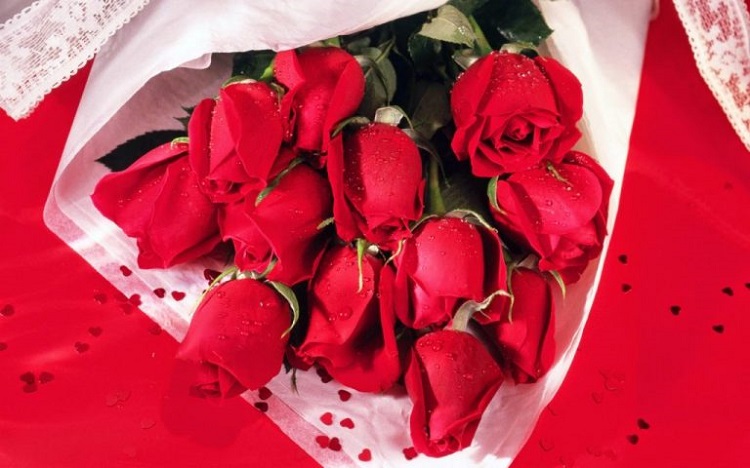 Những hình ảnh hoa hồng đẹp ngọt ngào, lãng mạn-2