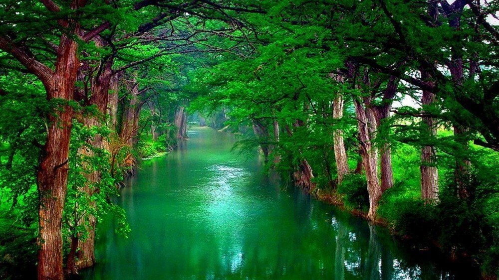 Ảnh đẹp thiên nhiên Việt Nam, hình nền thiên nhiên chất lượng-78