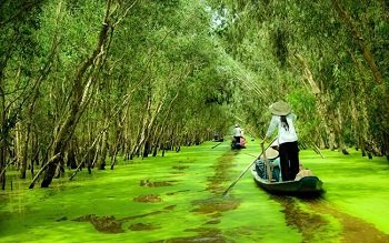 Thông tin về Đồng bằng sông Cửu Long và những hành ảnh tuyệt đẹp tại nơi này-3