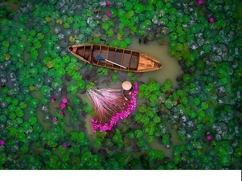 Thông tin về Đồng bằng sông Cửu Long và những hành ảnh tuyệt đẹp tại nơi này-7