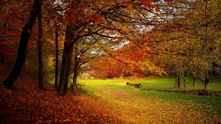 Hình ảnh mùa thu đẹp lãng mạn trên thế giới-7