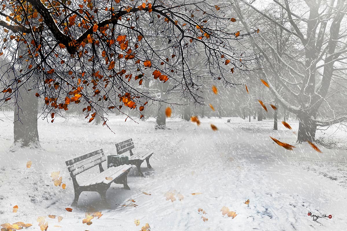 Tổng hợp hình ảnh mùa đông đẹp nhất Ảnh đẹp mùa đông