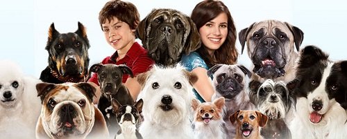 Những bộ phim về loài chó hay nhất từ trước đến nay-8