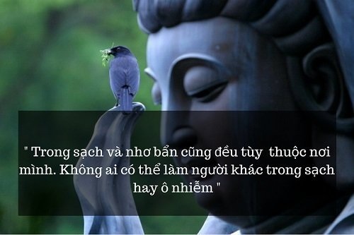 Những câu nói hay của Đức Phật về cuộc sống, tình yêu-17