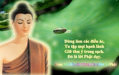 Những stt về lời Phật dạy về cuộc sống, tình yêu hay nhất-6