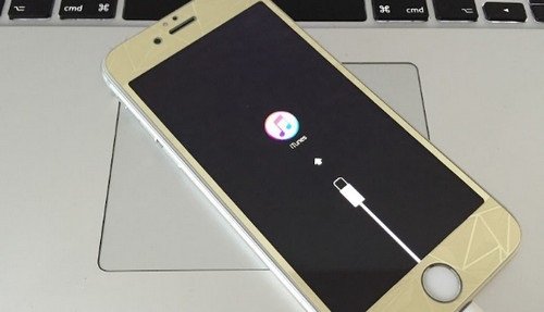 Sửa Iphone bị đen màn hình, không lên tiếng -5