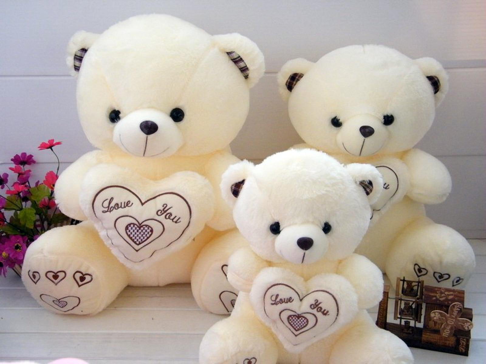 Hình ảnh gấu bông đẹp cute tặng bạn bè người thương