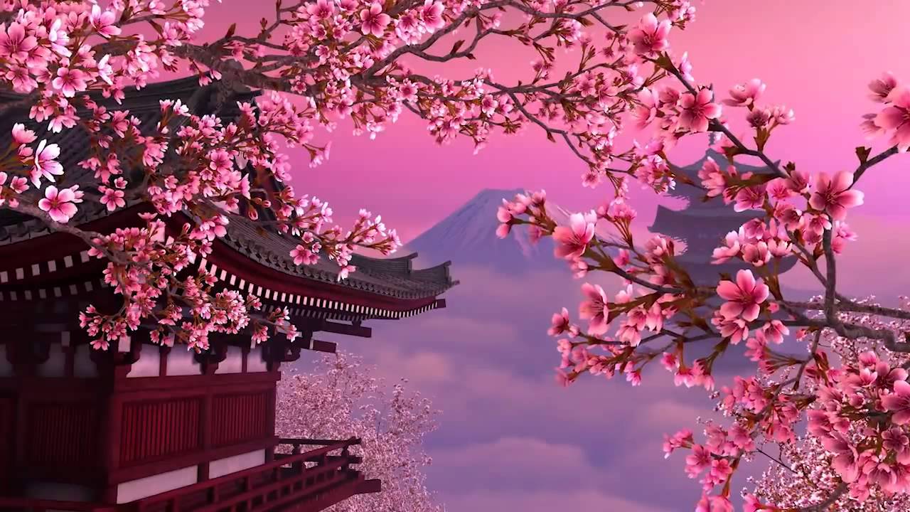 Hình nền đẹp với hoa anh đào Nhật Bản cho điện thoại và máy tính-4
