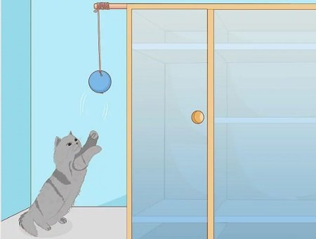 Cách làm đồ chơi cho mèo đơn giản tại nhà-8