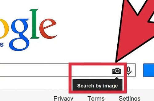 Cách tìm kiếm bằng hình ảnh trong Google đơn giản-2