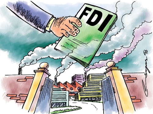 FDI là gì? Đặc điểm, vai trò của doanh nghiệp FDI-2