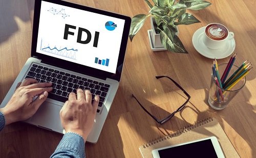 FDI là gì? Đặc điểm, vai trò của doanh nghiệp FDI-3
