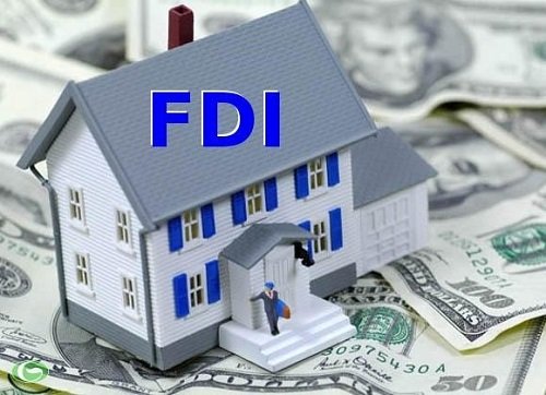 FDI là gì? Đặc điểm, vai trò của doanh nghiệp FDI-4
