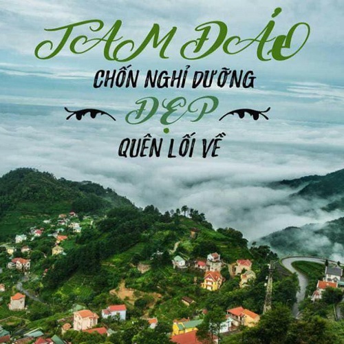 Top 10 homestay Tam Đảo view đẹp, giá rẻ “xịn sò” nhất-3