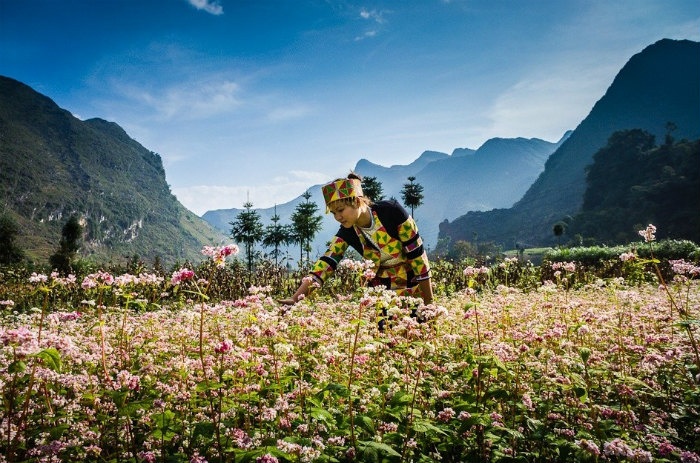 Ảnh đẹp thiên nhiên Việt Nam, hình nền thiên nhiên chất lượng-2