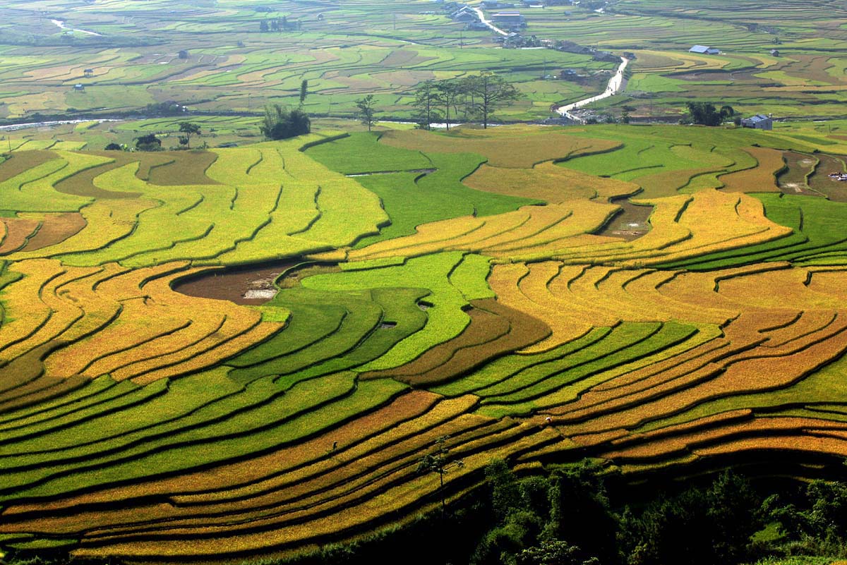 Ảnh đẹp thiên nhiên Việt Nam, hình nền thiên nhiên chất lượng-9