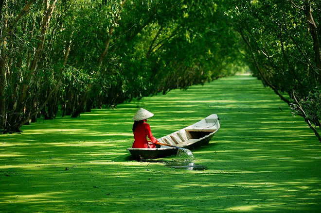 Ảnh đẹp thiên nhiên Việt Nam, hình nền thiên nhiên chất lượng-12