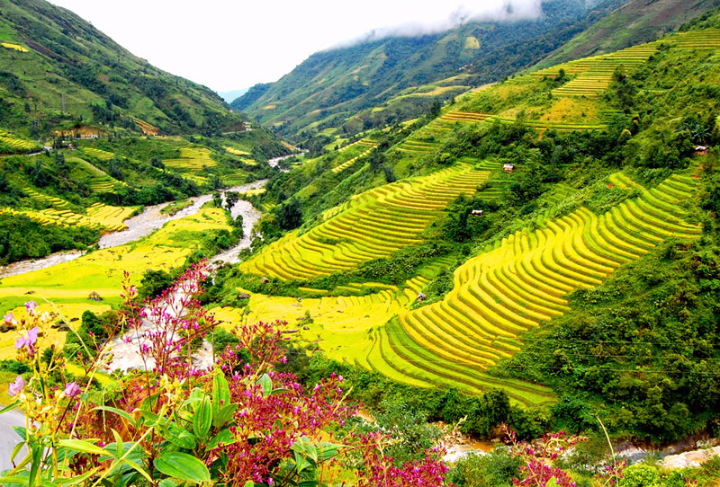 Ảnh đẹp thiên nhiên Việt Nam, hình nền thiên nhiên chất lượng-26