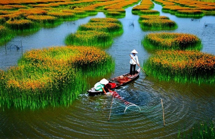 Ảnh đẹp thiên nhiên Việt Nam, hình nền thiên nhiên chất lượng-33