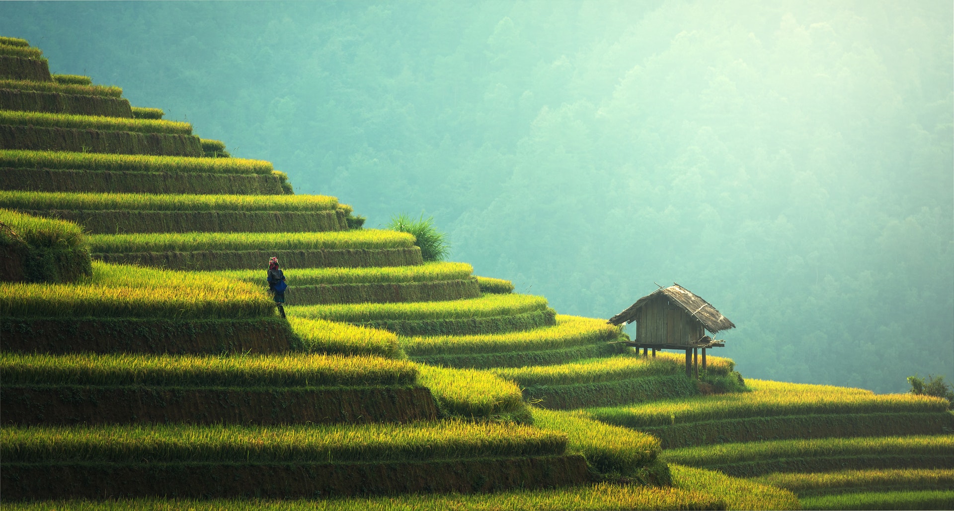 Ảnh đẹp thiên nhiên Việt Nam, hình nền thiên nhiên chất lượng-19