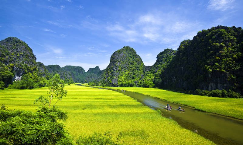 Ảnh đẹp thiên nhiên Việt Nam, hình nền thiên nhiên chất lượng-10