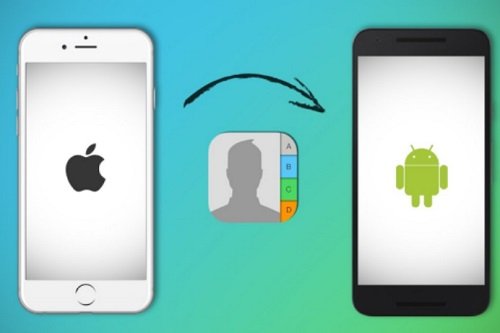 Cách chuyển danh bạ Iphone sang Android đơn giản-1