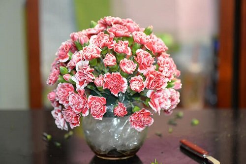 6 cách cắm hoa cẩm chướng vào lọ đẹp mê mẩn-3