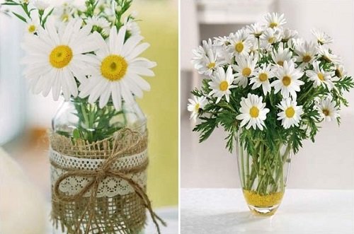 6 cách cắm hoa cúc đơn giản đẹp, độc đáo-4