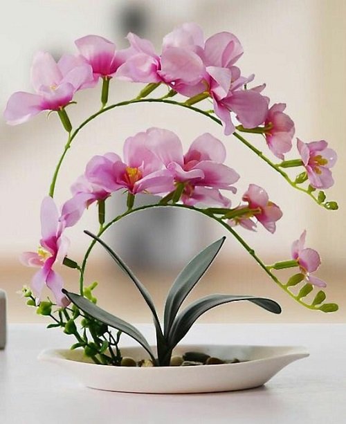 Cách cắm hoa lan để bàn đẹp và tươi lâu-11