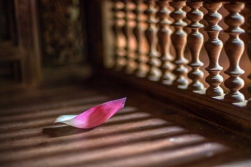 Hoa rơi cửa Phật là gì? Ý nghĩa của hoa rơi cửa Phật-1