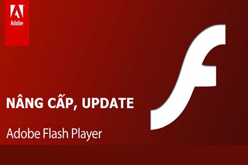 Cách cập nhật Adobe Flash Player trên Chrome, Cốc Cốc, Firefox