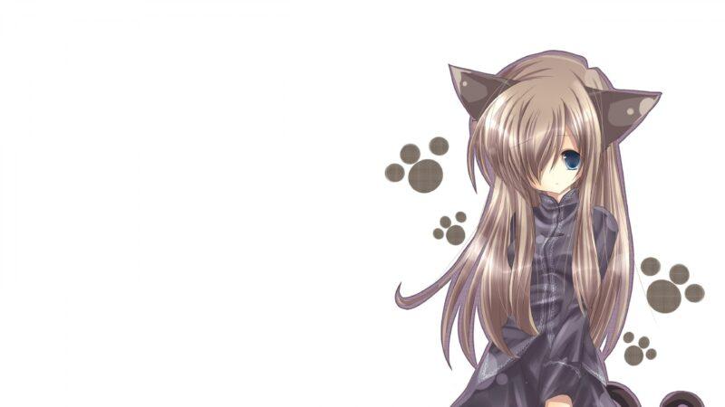 Background anime nữ và mèo