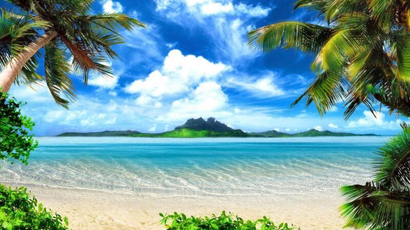 background biển nhiệt đới