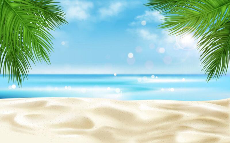 Sea beach with palm tree leaves background, summer