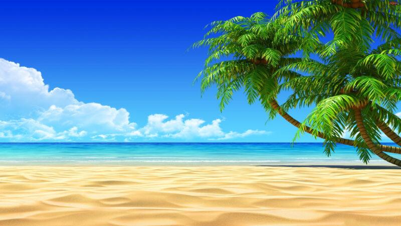 background beach hình nền máy tính