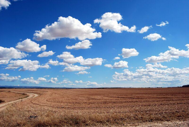 Background mây trên cánh đồng